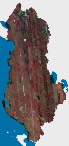 Graphic overview for Satellite Orthophoto CIR 2024