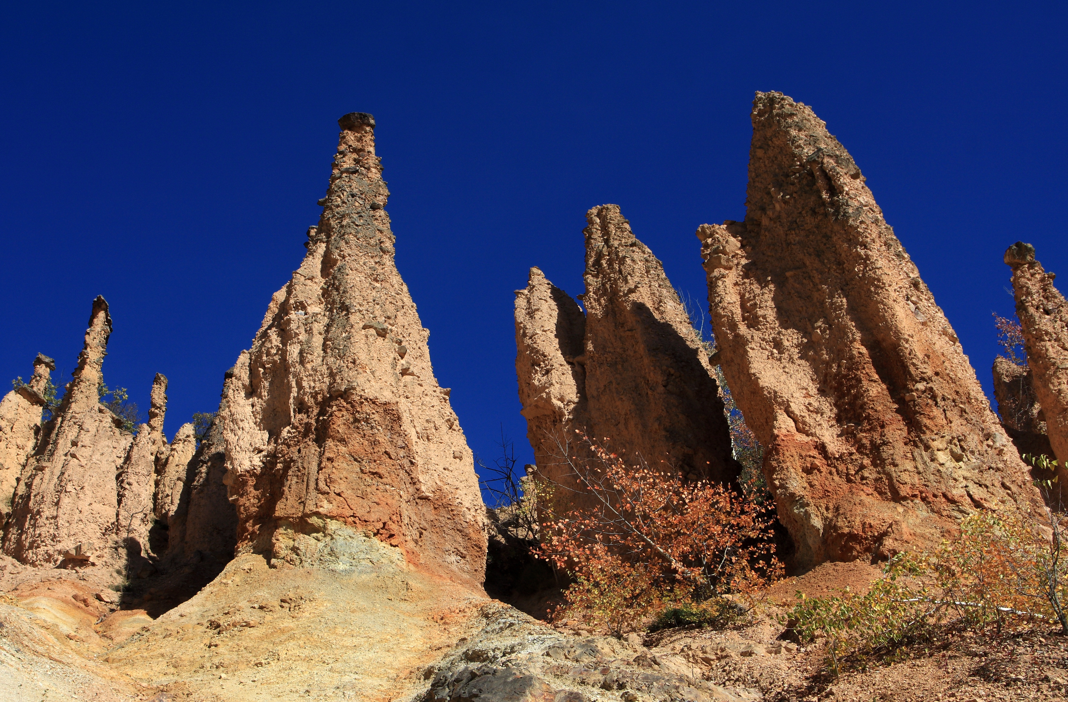 Graphic overview for Protected natural assets of Serbia